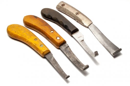 Hoof Trimmers or Farrier’s Knives